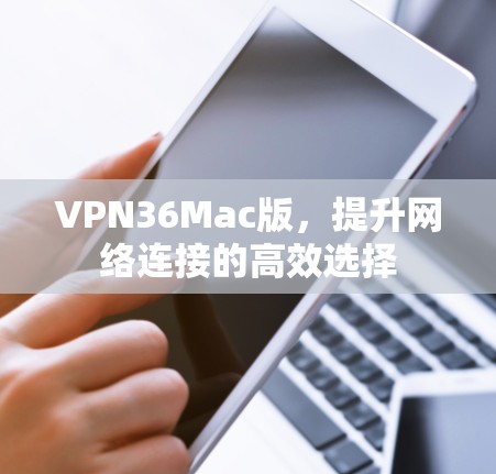 VPN36Mac版，提升网络连接的高效选择