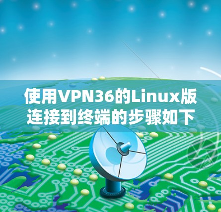使用VPN36的Linux版连接到终端的步骤如下