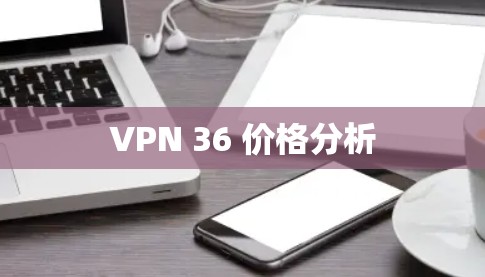 VPN 36 价格分析