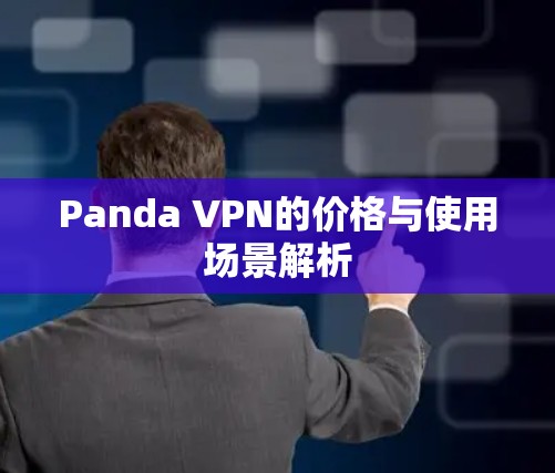 Panda VPN的价格与使用场景解析