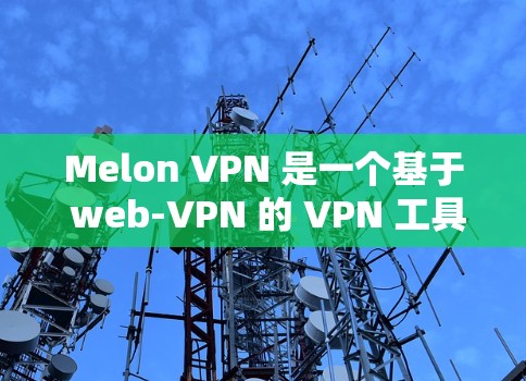 Melon VPN 是一个基于 web-VPN 的 VPN 工具，主要用于VPN，以下是安装其步骤的详细指南