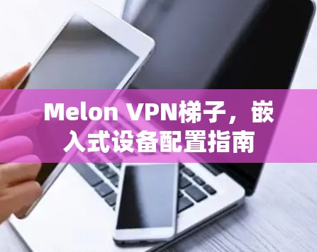 Melon VPN梯子，嵌入式设备配置指南