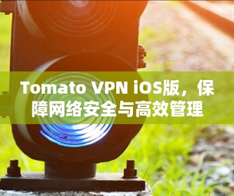 Tomato VPN iOS版，保障网络安全与高效管理的便捷工具