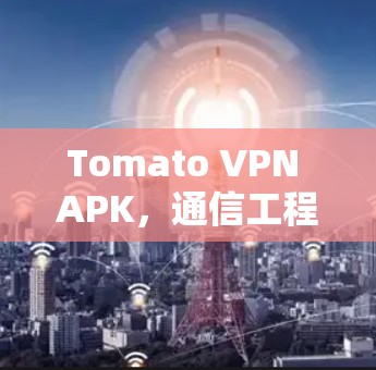 Tomato VPN APK，通信工程师的首选解决方案