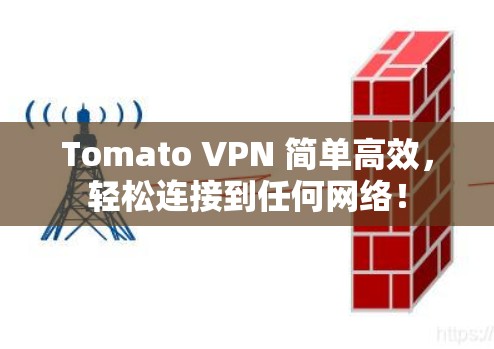Tomato VPN 简单高效，轻松连接到任何网络！