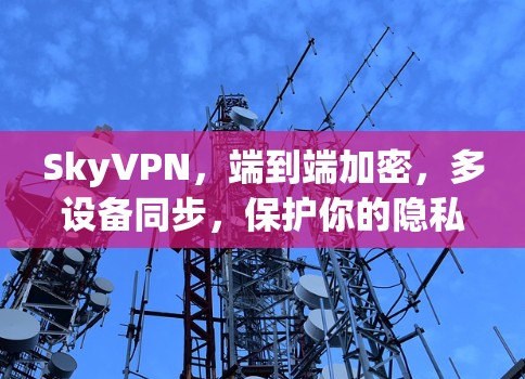 SkyVPN，端到端加密，多设备同步，保护你的隐私和安全