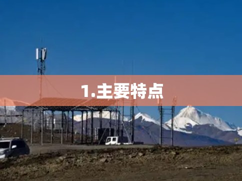 1.主要特点
