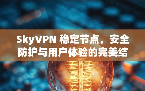 SkyVPN 稳定节点，安全防护与用户体验的完美结合