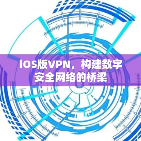 iOS版VPN，构建数字安全网络的桥梁