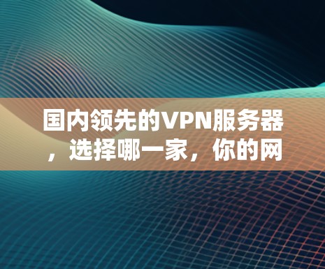 国内领先的VPN服务器，选择哪一家，你的网络将更强大！