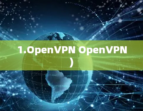 1.OpenVPN OpenVPN)