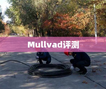 Mullvad评测
