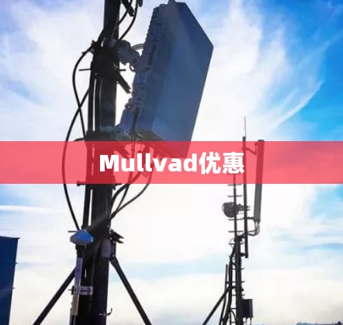 Mullvad优惠