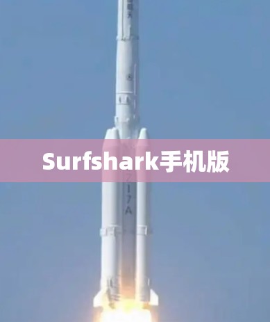 Surfshark手机版