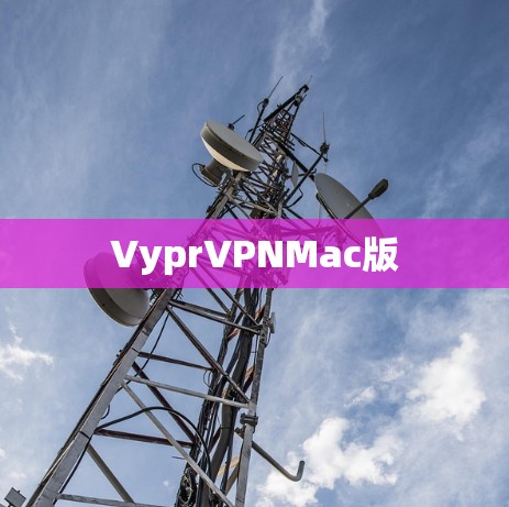 VyprVPNMac版
