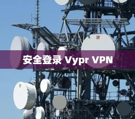 安全登录 Vypr VPN
