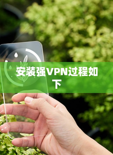 安装强VPN过程如下