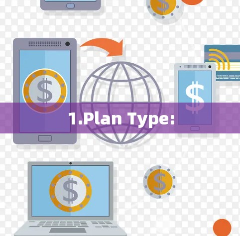 1.Plan Type: