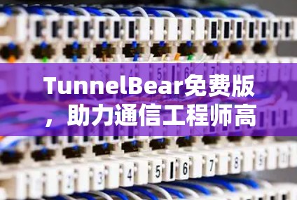 TunnelBear免费版，助力通信工程师高效网络管理