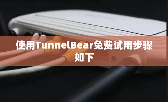 使用TunnelBear免费试用步骤如下