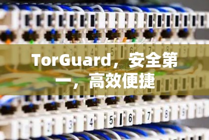 TorGuard，安全第一，高效便捷