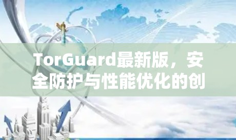 TorGuard最新版，安全防护与性能优化的创新解决方案
