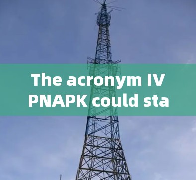 The acronym IVPNAPK could stand for several possibilities,each based on different interpretations:
