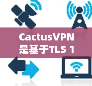 CactusVPN是基于TLS 1.2协议的VPN应用，旨在为用户提供安全、可靠和低延迟的网络连接。以下是下载CactusVPN的步骤