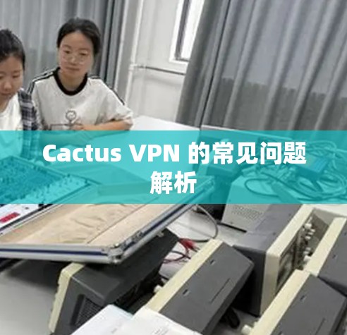 Cactus VPN 的常见问题解析