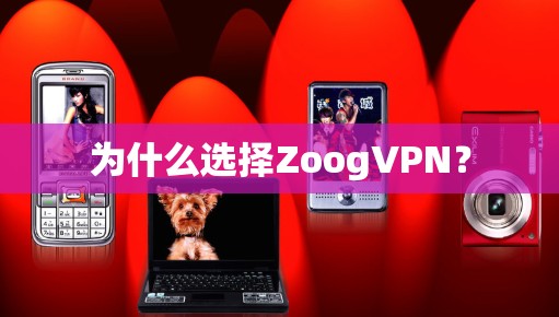 为什么选择ZoogVPN？