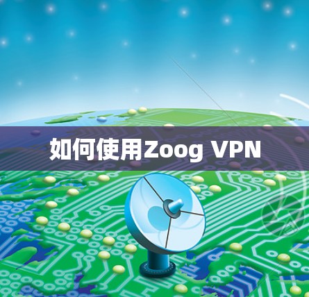 如何使用Zoog VPN