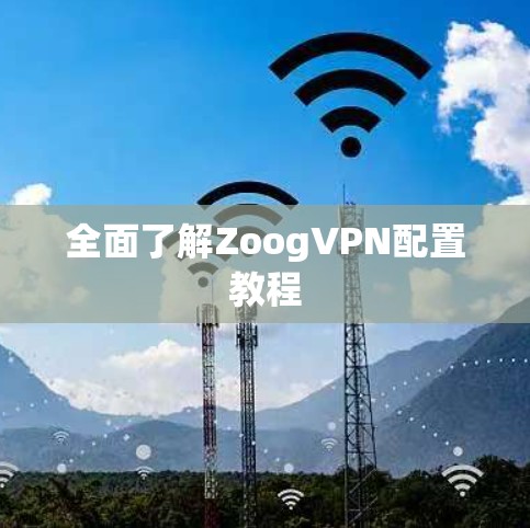 全面了解ZoogVPN配置教程