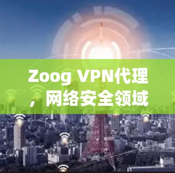 Zoog VPN代理，网络安全领域的领先解决方案