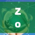 Zoog VPN,网络安全的优质选择 Zoog VPN,网络安全的优质选择