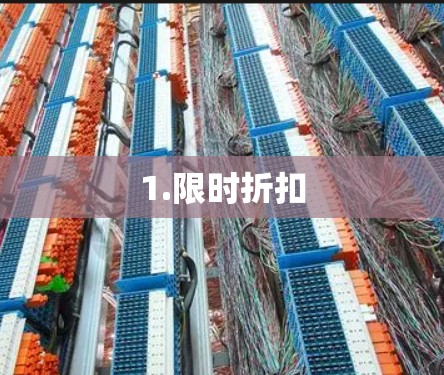 1.限时折扣