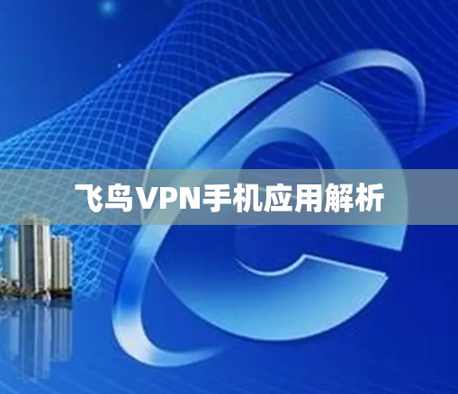 飞鸟VPN手机应用解析