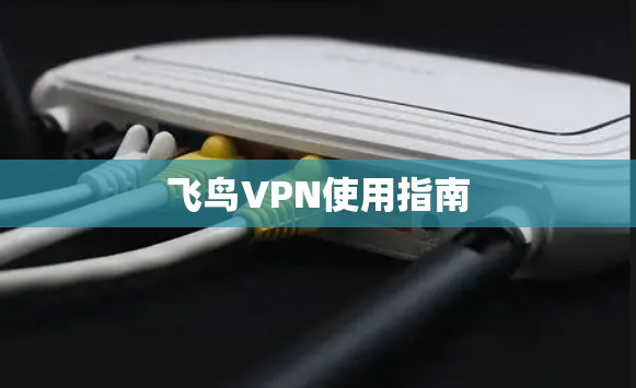 飞鸟VPN使用指南
