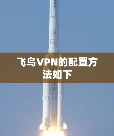 飞鸟VPN的配置方法如下