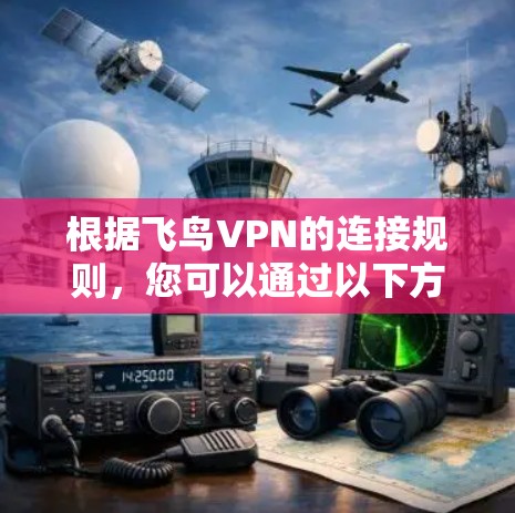 根据飞鸟VPN的连接规则，您可以通过以下方式尝试连接网络