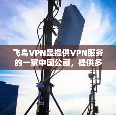 飞鸟VPN是提供VPN服务的一家中国公司，提供多种协议和加密方式，允许用户在线使用数据。以下是一步步的指南