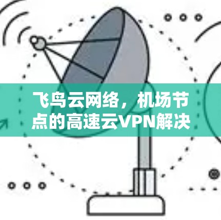 飞鸟云网络，机场节点的高速云VPN解决方案
