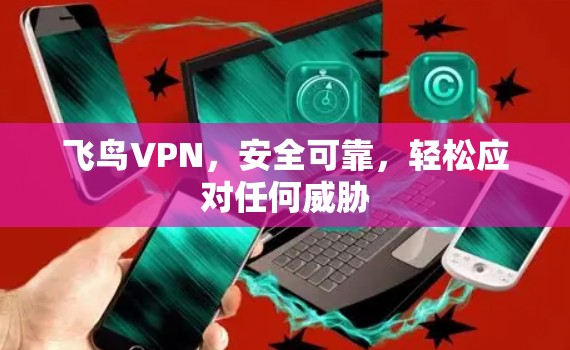 飞鸟VPN，安全可靠，轻松应对任何威胁