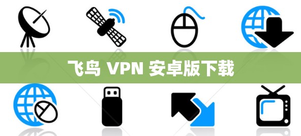 飞鸟 VPN 安卓版下载