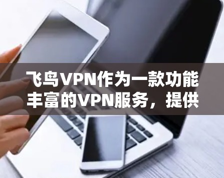 飞鸟VPN作为一款功能丰富的VPN服务，提供了多方面的功能选项以满足用户的需求。以下是其主要功能的总结