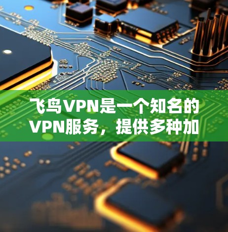 飞鸟VPN是一个知名的VPN服务，提供多种加密方式，如AES和RSA。以下是关于飞鸟VPN的详细分析