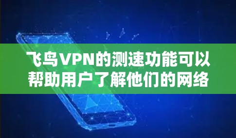 飞鸟VPN的测速功能可以帮助用户了解他们的网络流量情况和速度，但需要注意以下几点