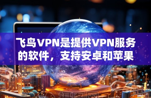 飞鸟VPN是提供VPN服务的软件，支持安卓和苹果设备。以下是使用飞鸟VPN的步骤