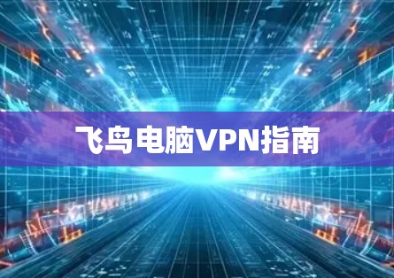 飞鸟电脑VPN指南