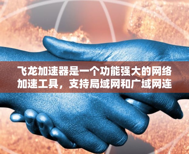 飞龙加速器是一个功能强大的网络加速工具，支持局域网和广域网连接。以下是详细的网络配置指南