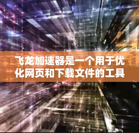 飞龙加速器是一个用于优化网页和下载文件的工具，下载过程如下